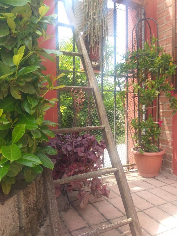 Mosci'S Bed & Beer Bed & Breakfast San Damiano d'Asti Bagian luar foto