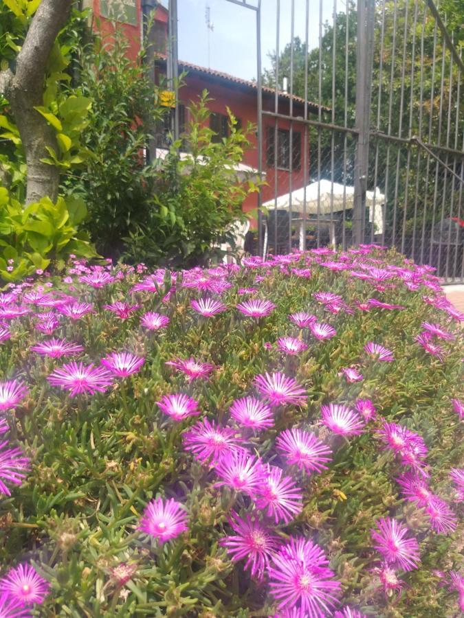 Mosci'S Bed & Beer Bed & Breakfast San Damiano d'Asti Bagian luar foto